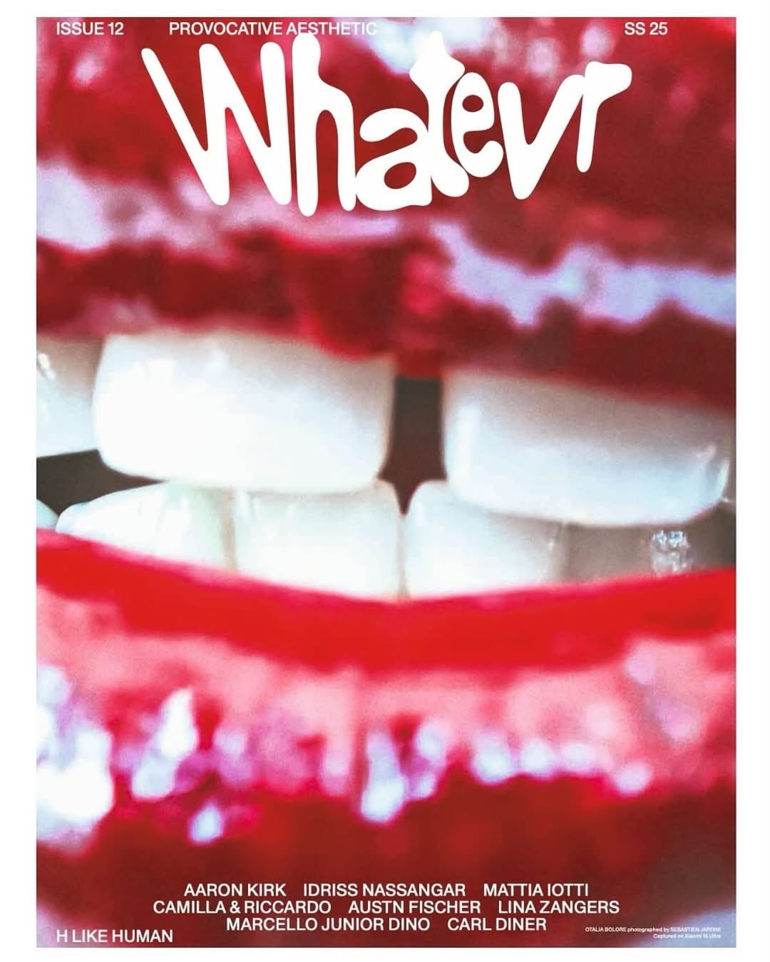WHATEVER FRANZINE 2024 COVER